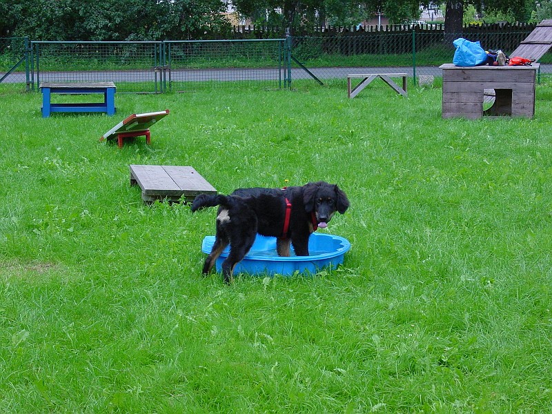 DSC02951.jpg