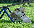 DSC02839