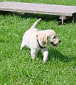 DSC02844