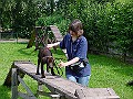 DSC02854
