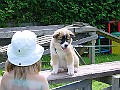 DSC02865