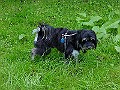 DSC02874
