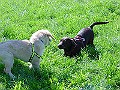 DSC02897