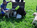 DSC02899