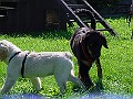 DSC02904