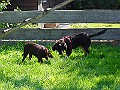 DSC02911