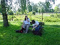 DSC02920