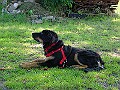 DSC02929