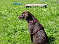 DSC02930