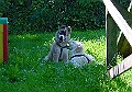 DSC02931