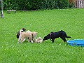 DSC02935