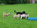 DSC02936