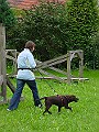DSC02943