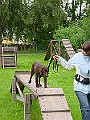 DSC02961