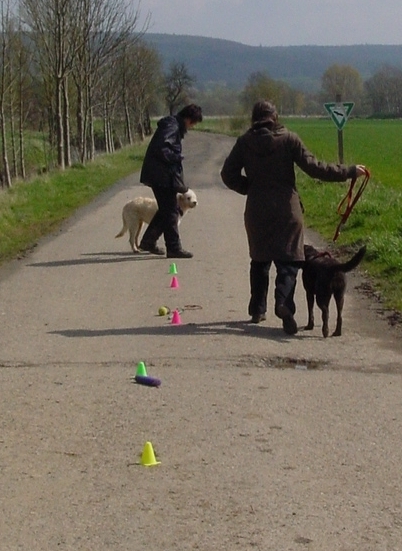 DSC03808.jpg