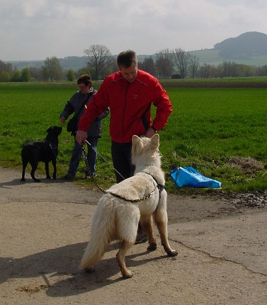 DSC03823.jpg
