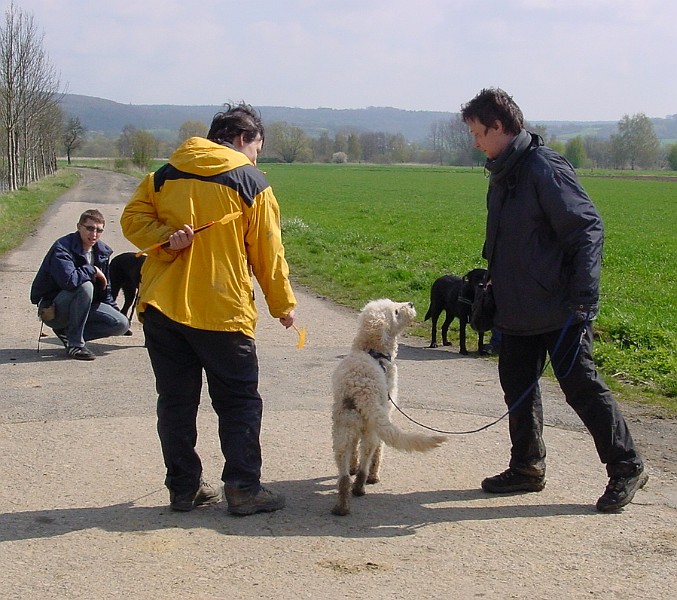 DSC03831.jpg