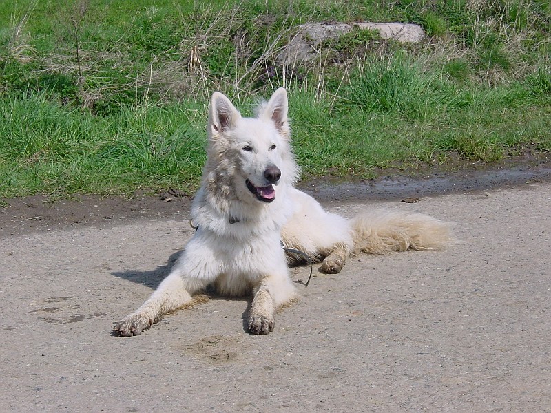 DSC03837.jpg