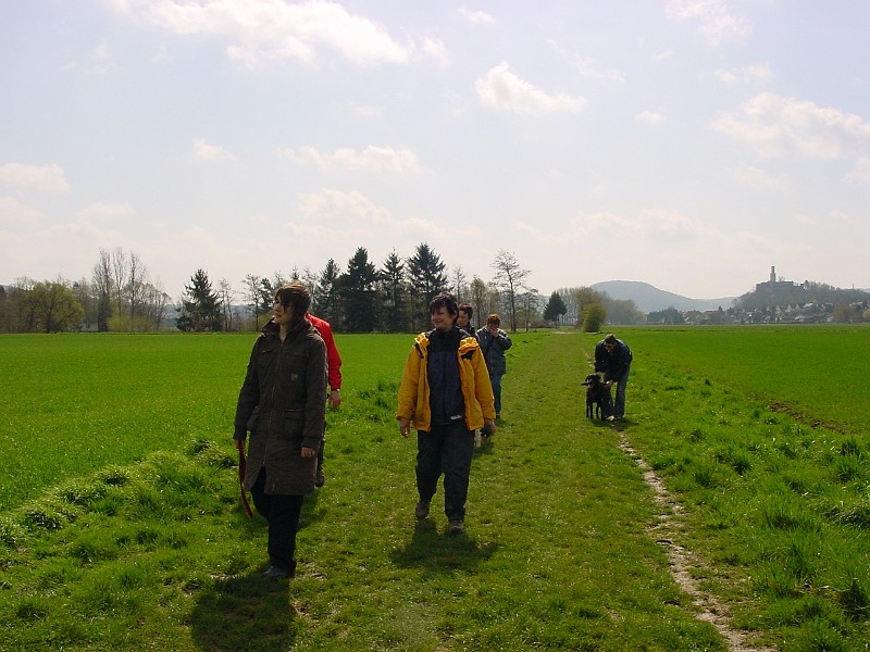 DSC03853.jpg