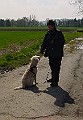 DSC03799