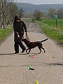 DSC03813