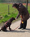 DSC03816