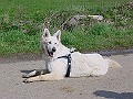 DSC03834