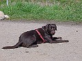 DSC03835