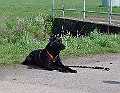 DSC03836