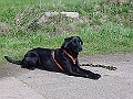 DSC03840