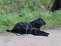 DSC03841