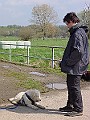DSC03842