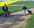 IMG_4308
