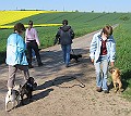 IMG_4309
