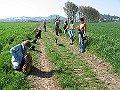 IMG_4312
