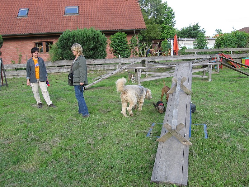 IMG_4373.jpg