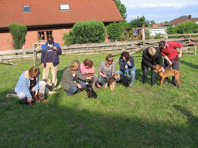 IMG_4379.jpg