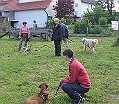 HPMaiWelpen2008