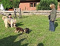 IMG_4367