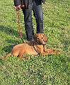 IMG_4390