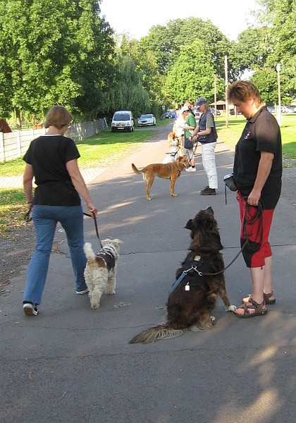 IMG_4584.jpg