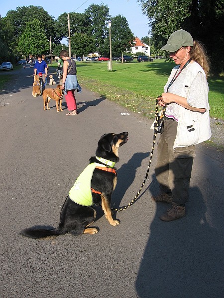 IMG_4594.jpg