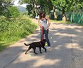 IMG_4411
