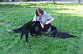 IMG_4551