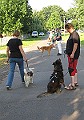 IMG_4584