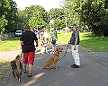 IMG_4587