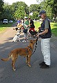 IMG_4588