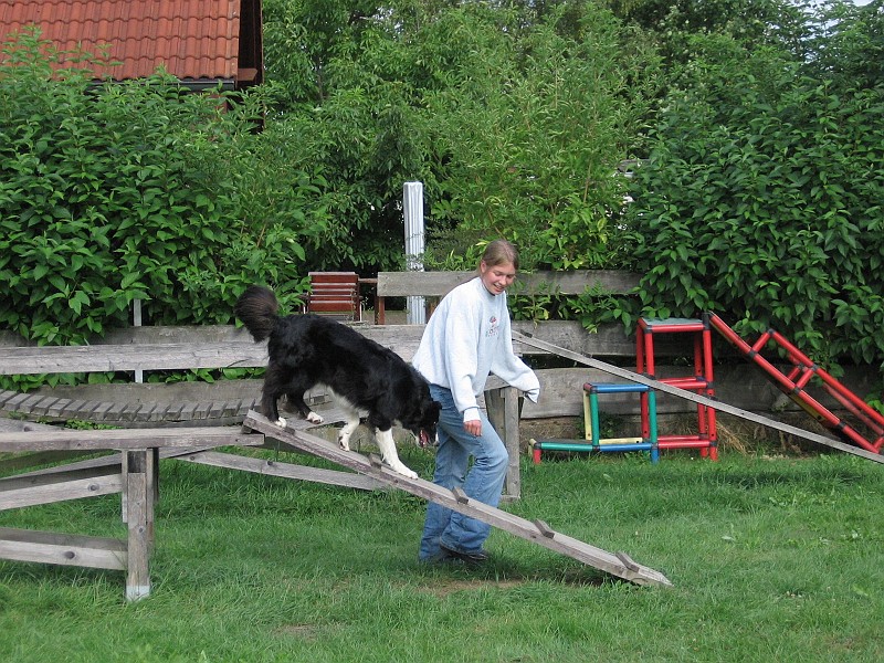 IMG_4737.jpg