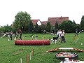 IMG_4613