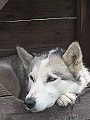 IMG_4621